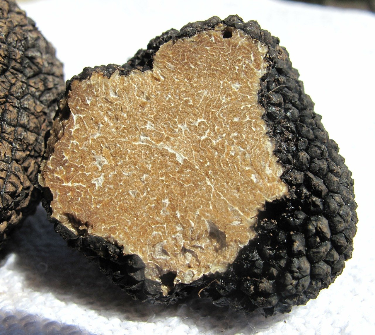 Come riconoscere il tartufo bianco pregiato