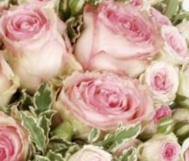 In trina di parole&hellip;e bisbigli di rose
